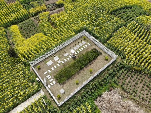 仅需2周，水质就稳定达标！这种一体化生活污水处理设备供不应求
