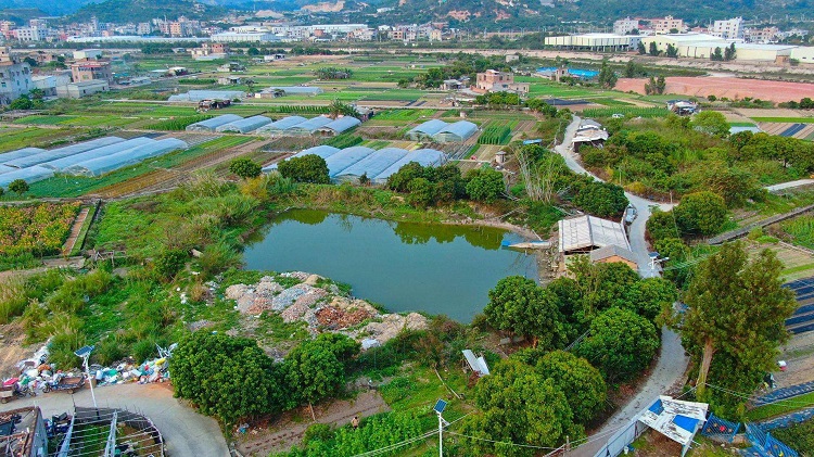 厦门农村生活污水怎么治理？厦门农村生活污水治理